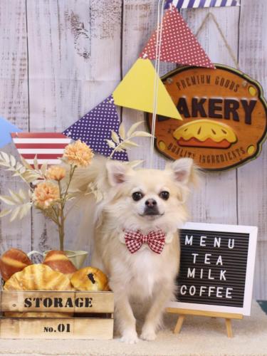 20240908とわくん